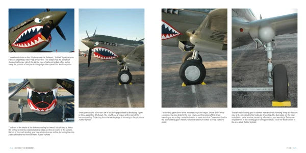 Curtiss P-40 Warhawk: The Famous Flying Tigers Fighter