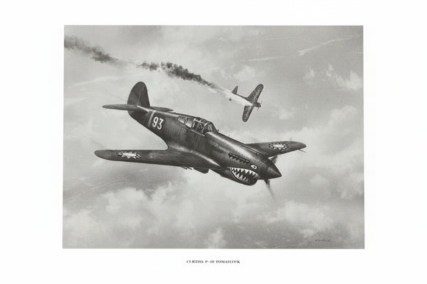 16"x20" Warbird Prints - choose from 10 different WWII planes