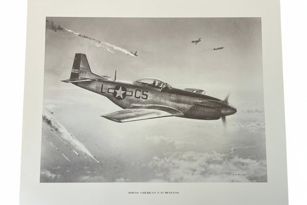 16"x20" Warbird Prints - choose from 10 different WWII planes